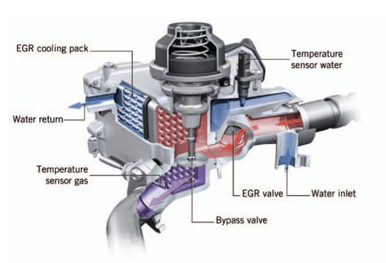 EGR system