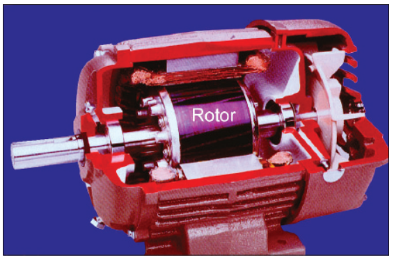 motor rotor