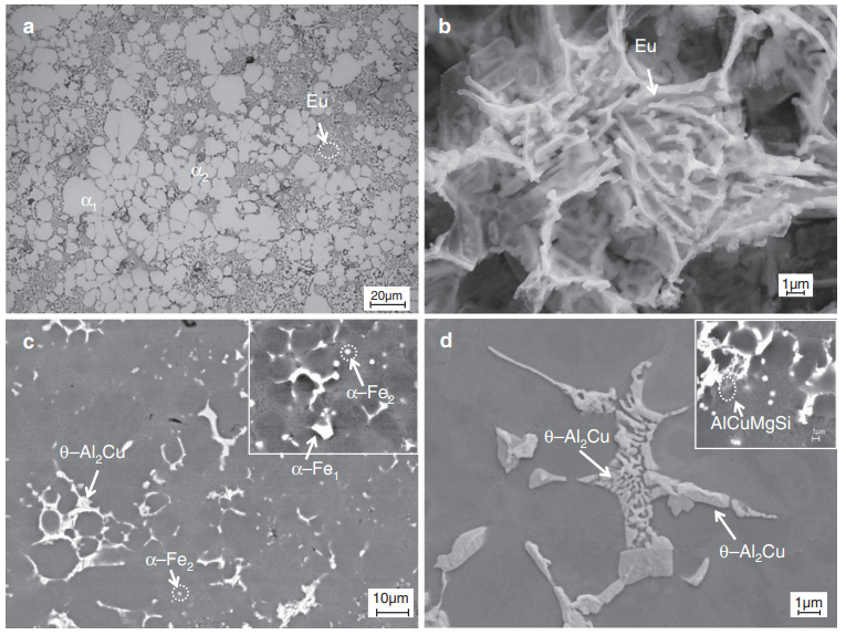 Fe Sem Micrograph Showing The Microstructure Of The Alcocrcufemoni ...