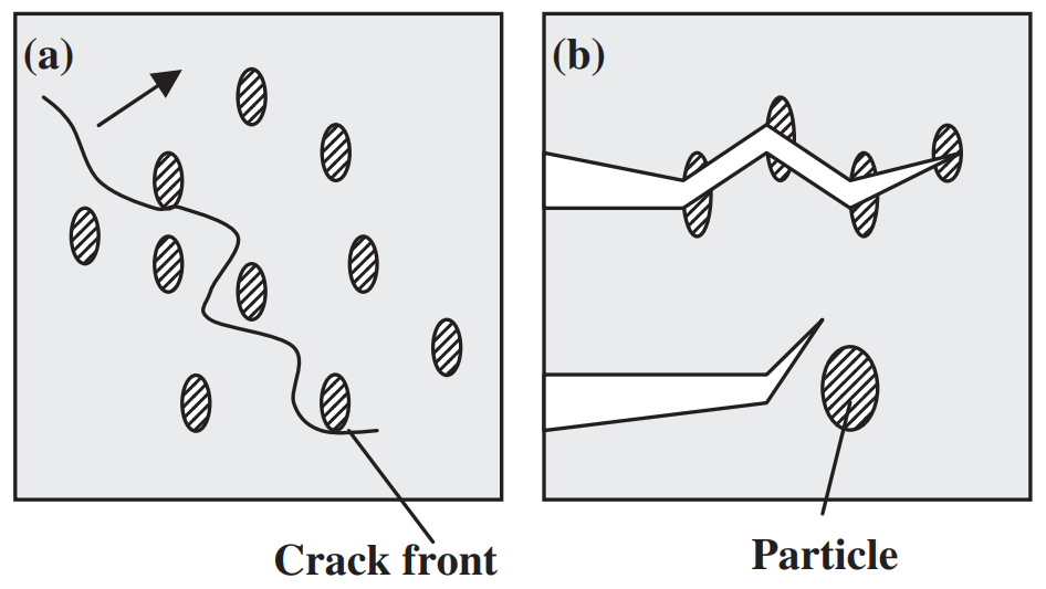 Fig. 10 Schematic drawings of two strengthening mechanisms20) in the systems NaCl–Na2CO3 and KCl–K2CO3. (a) crack bowing. (b) crack deflection.