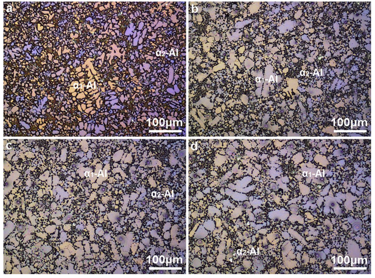Fig. 2. Polarized optical micrographs showing the primary a1-Al phase nucleated in the shot sleeve and the secondary a2-Al phase nucleated in the die cavity in the AlSiCuMgMn alloy processed by high pressure die casting: (a) asecast, (b) solution at 510 C for 0.5 h, (c) solution at 510 C for 1 h and (d) solution at 510 C for 2 h.