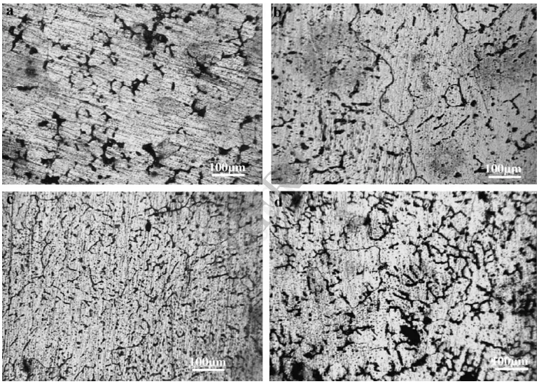 Fig. 4 – Optical micrographs of copper-coated basalt fiber reinforced composites. (a) 2.5 wt%, (b) 5 wt%, (c) 7.5 wt% and (d) 10 wt% fiber reinforcements.