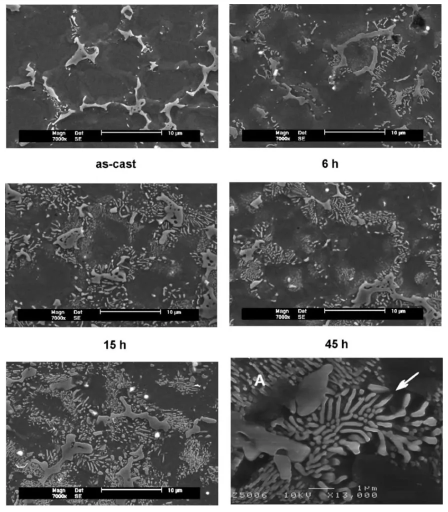 Fig. 4. Influence of the ageing at 160 ◦C on the microstructure of die cast AZ91D. A high magnification image is shown in the bottom right corner. The
white arrow indicates a region of discontinuous precipitation and the area marked “A” shows rod shaped precipitates.