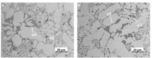 Fig. 4. Microstructure and α1- AlSiMnFe and α2- AlSiMnFe intermetallics in the F (a) and T6 (b) samples.