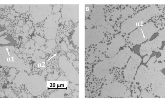 Fig. 4. Microstructure and α1- AlSiMnFe and α2- AlSiMnFe intermetallics in the F (a) and T6 (b) samples.