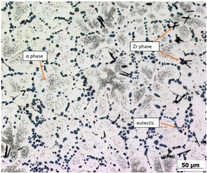 Fig. 5. Microstructure of AlSi7Mg0.3 whith 0.2% Zr, with HT cast into metal mold, etchant 0.5% HF.