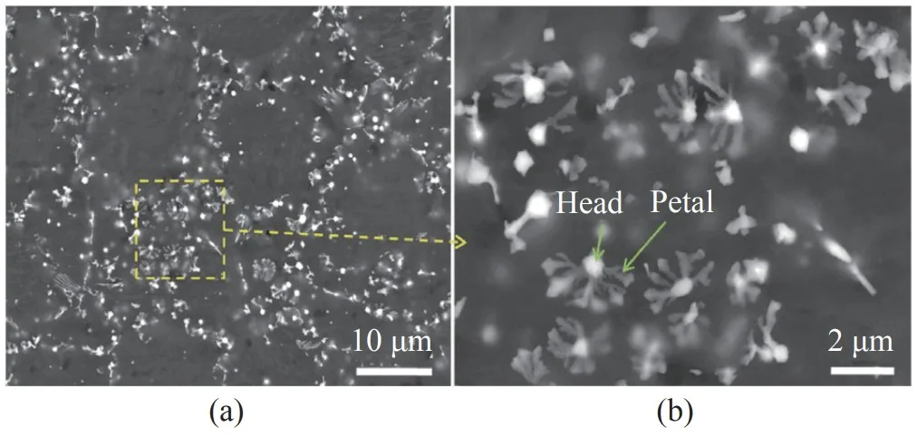 Fig. 5. Microstructure of the die-cast Mg-4Al-4Sm-0.3Mn alloy in the
as-cast condition; the secondary phase exhibits a clumped distribution.