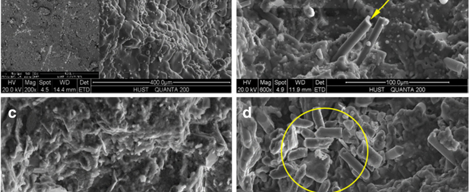 Fig. 6 Fracture surface micrograph of the WSSC. a Unreinforced. b With 15 mass% bauxite powder and 15 mass% glass fiber powder. c With 15 mass% bauxite powder and 15 mass% sericite powder. d With 30 mass% glass fiber powder