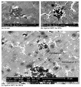 Fig. 6. Micro-morphologies of die cast AZ91D specimens after immersion in 5 wt