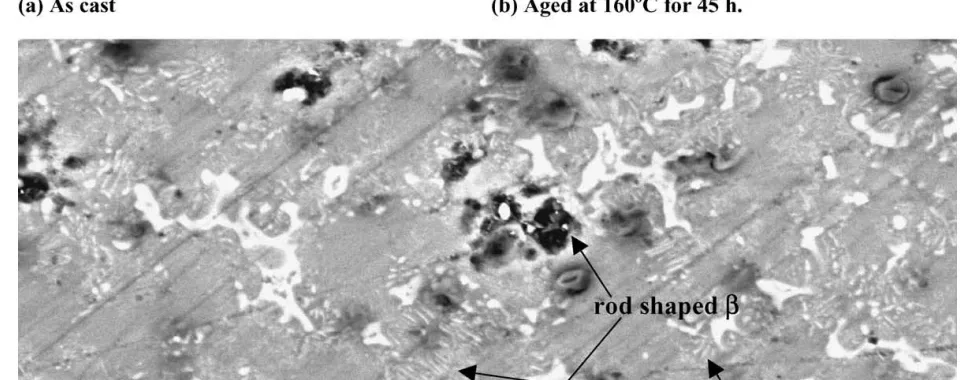 Fig. 6. Micro-morphologies of die cast AZ91D specimens after immersion in 5 wt