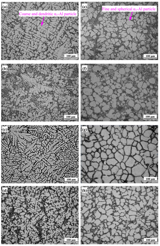 Fig. 6. Microstructures of the four different alloy ingots prepared by NC and FCSC: (a) A356-NC, (b) A380-NC, (c) 7075-NC, (d) AZ91D-NC, (e) A356-FCSC, (f) A380-FCSC, (g) 7075-FCSC, (h) AZ91D-FCSC.