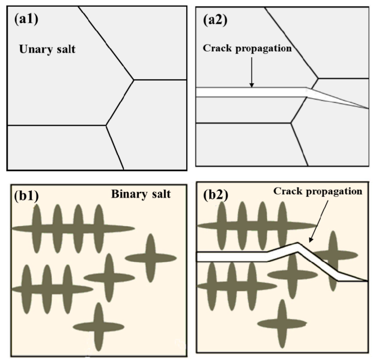 Fig. 6. The schematic diagrams of the solidified structure and crack propagation: (a) Unary salt and (b) Binary salt. 