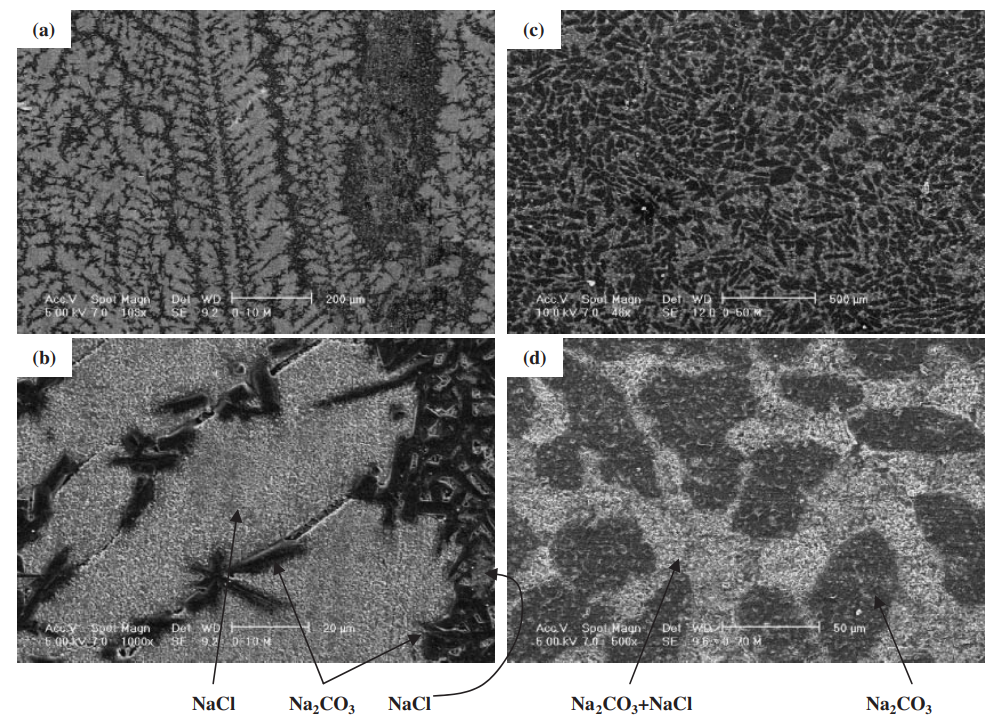 Fig. 7 The scanning electron microscope (SEM) images of solidified structure. (a) and (b) : NaCl–10 mol%Na2CO3. (c) and (d) : NaCl– 70 mol%Na2CO3.