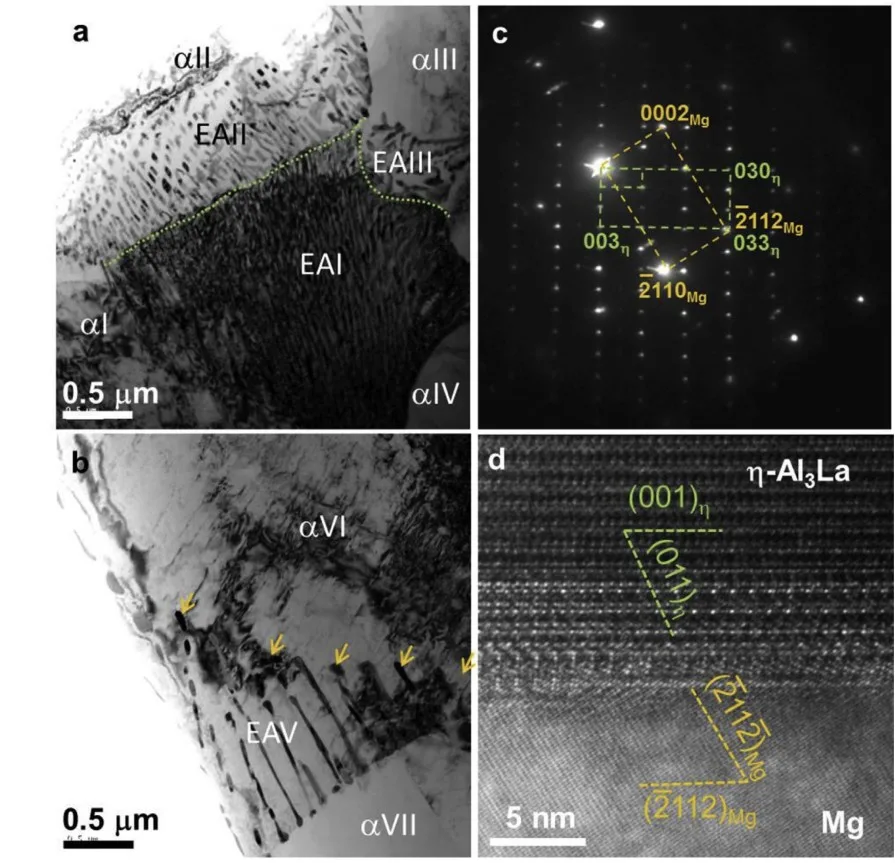 Fig. 8. (a) and (b) BF-TEM images of the EAs, (c) SAED pattern from a fine h-Al3La phase and (d) the interface between h-Al3La and Mg matrix.