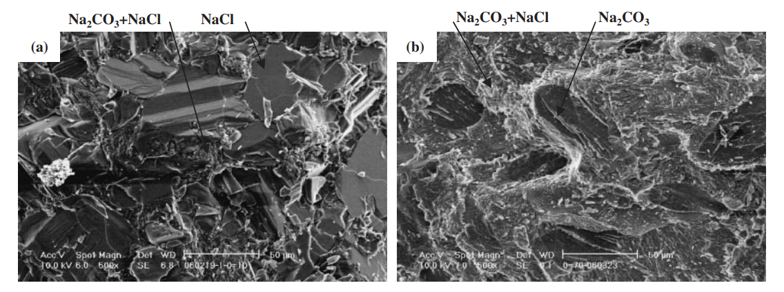 Fig. 9 The scanning electron microscope (SEM) images of broken surface. (a) : NaCl–10 mol%Na2CO3. (b) : NaCl–70 mol%Na2CO3.