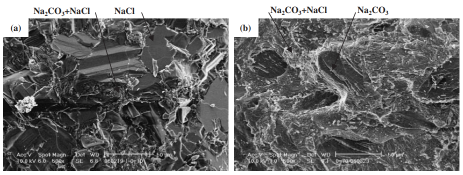 Fig. 9 The scanning electron microscope (SEM) images of broken surface. (a) : NaCl–10 mol%Na2CO3. (b) : NaCl–70 mol%Na2CO3.