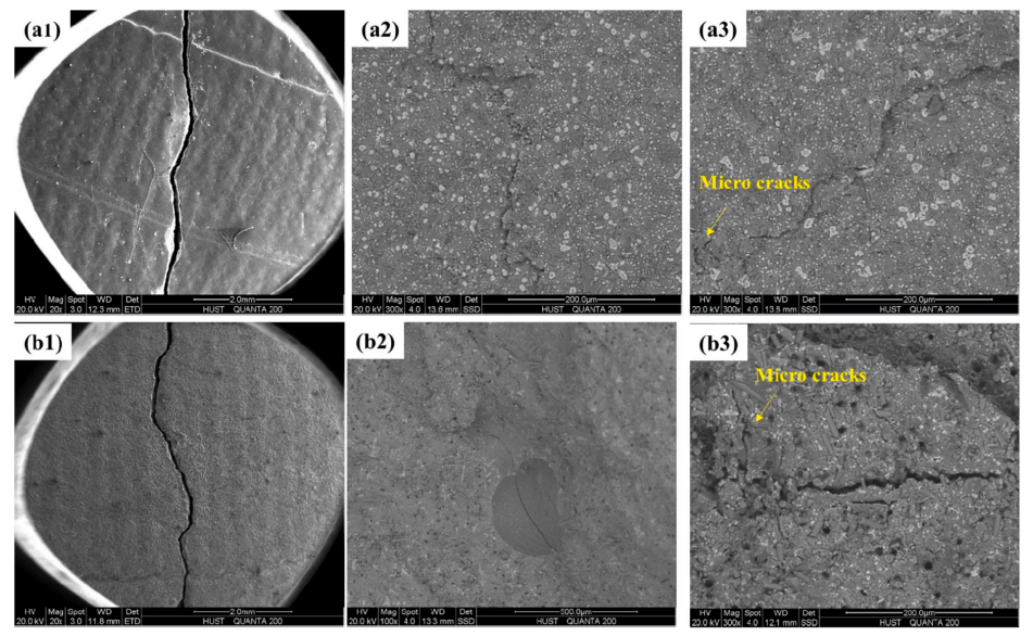 Fig. 9. Crack deflection microstructure of CWSSC strengthened by BP and GP: (a)KNC þ BP and (b)KNC þ GP