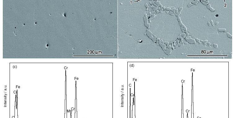 Fig.2 Schematic of thermal fatigue specimen (unit: mm)