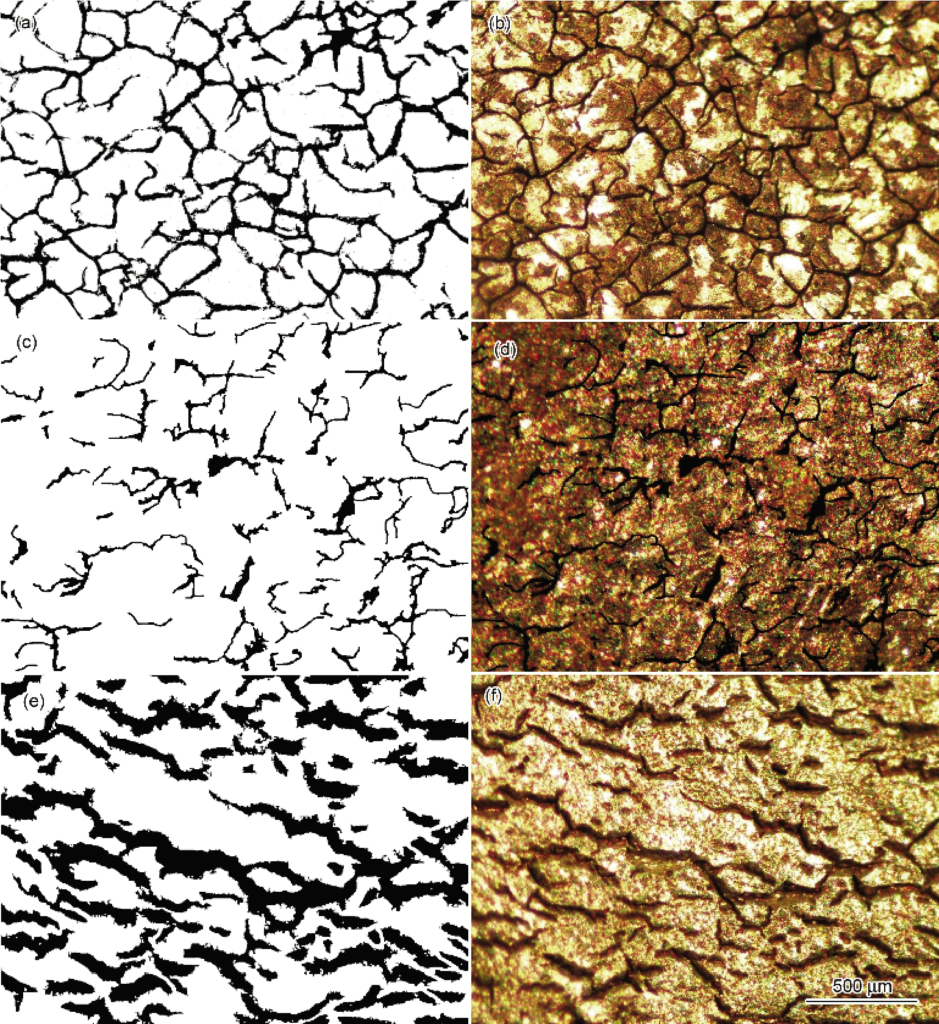Fig.3  SEM images of tested steels 3Cr10Mn7Ni6SiCu (a) and 3Cr10Mn7Ni6SiCuB0.7 (b), and EDS of point 1 (c) and point 2 (d) shown in Fig.3b