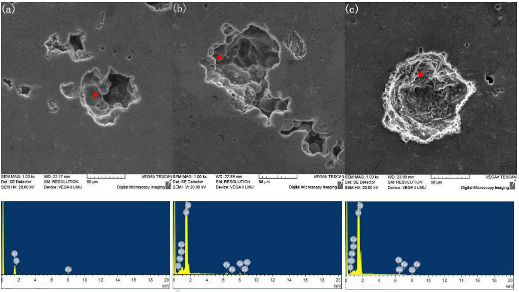 Fig.3 Three representative morphologies and compositions of pores : (a) shrinkage (b) micro porosity (c) gas pore