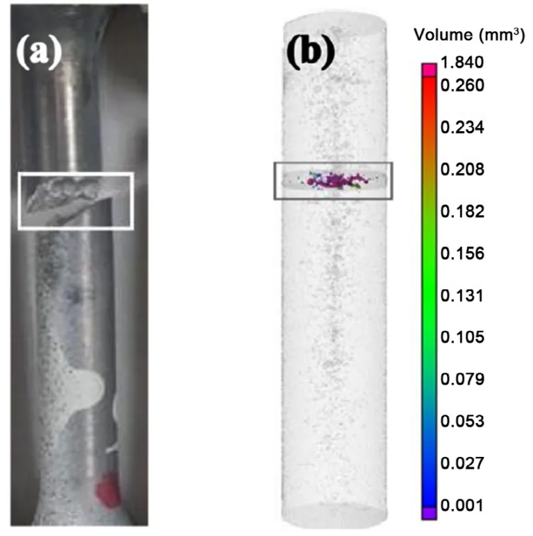 Fig. 15: Comparison of pore size and distribution between CT images (a) and fracture surface (b) [44]