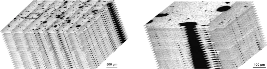 Fig. 1: Reconstructed pores in HPDC AE44 alloys based on a serial sectioning technique [18]