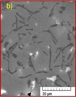 Fig. 8. Detail of eutectic Si in EC 55 casting; a) cooled by water, b) tempered by oil