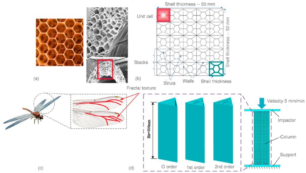 Figure 18. Bionic-inspired cellular structure design: (a) bee honeycomb pattern; (b) geometry of the cellular structure designed for numerical modelling [112]; (c) fractal texture of the wings of dragonflies; and (d) finite element model of the novel fractal structures [114]