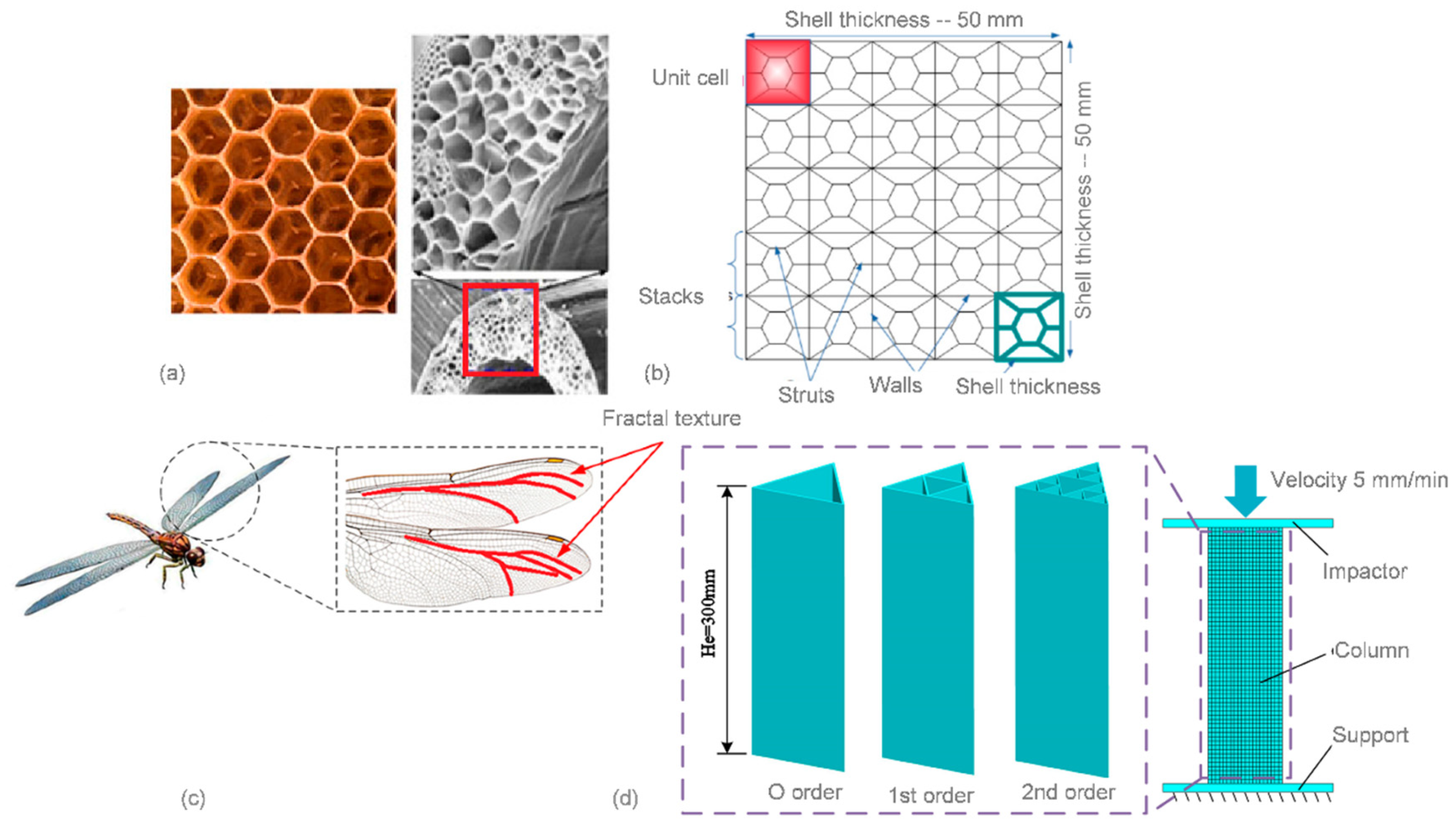 Figure 18. Bionic-inspired cellular structure design: (a) bee honeycomb pattern; (b) geometry of the cellular structure designed for numerical modelling [112]; (c) fractal texture of the wings of dragonflies; and (d) finite element model of the novel fractal structures [114]