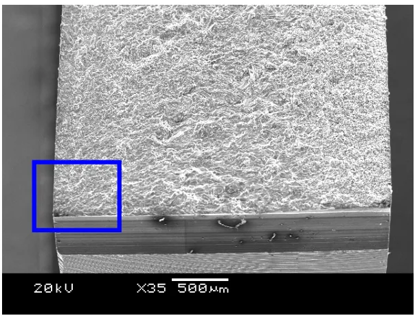 Figure 3 SEM fractograph of fracture surface
at crack nucleation region of the notched
specimen tested at 100 MPa (Kt = 1.57).