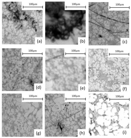 Figure 4. Images of different types of defects used for the training: (a,b)—air and shrinkage porosity defects; (c,d)—scratches; (e)—blurred image; (c,f,g,i)—different brightness and contrast of the image; (g,h)—ECS (some images are purportedly of lower quality).
