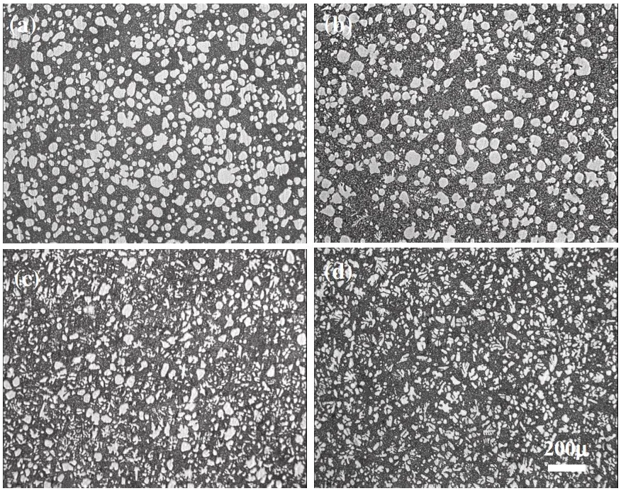 Figure 4. Microstructures of rheo-diecast AZ91D
alloy produced at different processing temperatures.
(a) 585oC; (b) 589oC; (c) 593oC; (d) 600oC. 