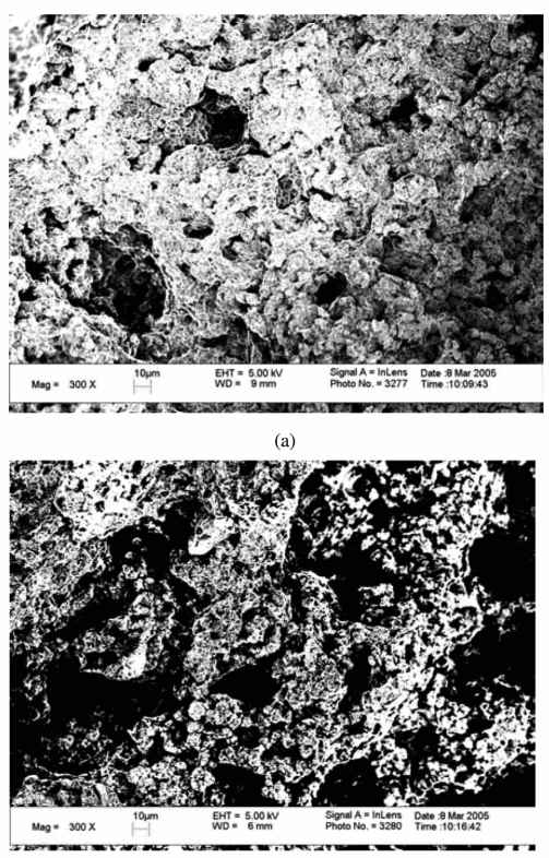 Figure 5.—(a) A typical abruption surface of the fusion slurry velocity 90 m/s and under the condition A3C3D2. (b) A typical abruption surface of the fusion slurry velocity 60 m/s and under the condition A3C3D2.