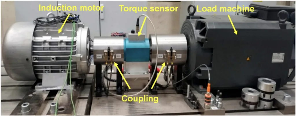 Figure 6. Performance testing of induction motors.