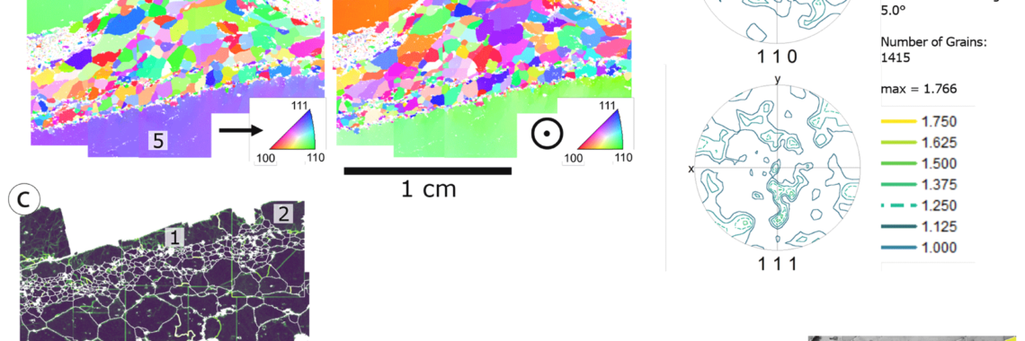 Figure 8(a) Inverse pole figure maps for halite grains with large Kristallbrocken grains labelled 1–5. (b) Pole figures of fine-grained matrix halite excluding five Kristallbrocken grains show no significant crystallographic preferred orientation (CPO). (c) Kernel average misorientation (KAM) map overlaid with white low- and high-angle grain boundaries (misorientation >5∘). KAM map was calculated over a distance of 40 µm (second neighbour) with a threshold of 3∘ in order to enhance the small-angle subgrain boundaries. KAM shows subgrain-free matrix halite with few exceptions in large matrix halite grains, Kristallbrocken 1 and 5 with subgrains, and subgrains in boudin necks of Kristallbrocken 3 and 4. (d) Cumulative reference orientation deviation map over the areas of Kristallbrocken 3 and 4, based on more highly resolved EBSD measurements. Reference points for each of the two grains are indicated. Panels (a) and (b) consist of 30 individual measurements, which due to image distortion under 70∘ tilt cannot be stitched perfectly. Therefore, in some cases an artificial separation of areas belonging to the same grain is visible