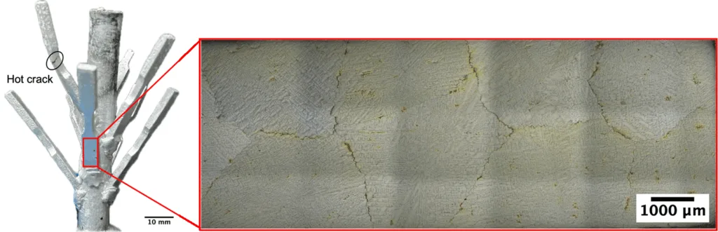 Figure 2. Investment casting tensile bar tree for IC2024 (left) and its optical microstructures (right)
