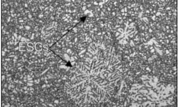 Figure 10: Optical micrograph from an industrially produced HPDC AM60 instrument panel. Etched microstructure: The large white particles are ESCs, whilst the gray structure is the fine grained matrix.