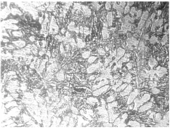 Fig. 3. Micrograph of Al-8%Si Alloy Chill Cast at a Pouring Temperature of 650o C ( x 125); white patches are primary α while dark patches are eutectic, α + Si. 