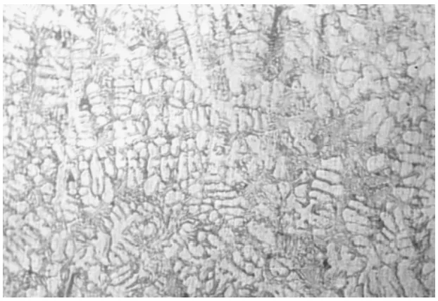 Fig. 4. Micrograph of Al-8%Si Alloy Squeeze Cast at a Pouring Temperature of 650o C and a Squeeze Pressure of 100MPa (x 125); white patches are primary α while dark patches are eutectic, α + Si. 