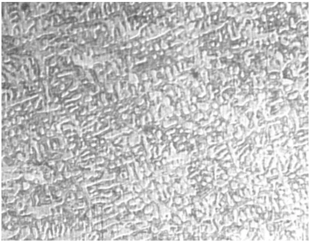 Fig. 5. Micrograph of Al-8%Si Alloy Squeeze Cast at a Pouring Temperature of 750o C and a Squeeze Pressure of 125MPa (x 125); white patches are primary α while dark patches are eutectic, α + Si.