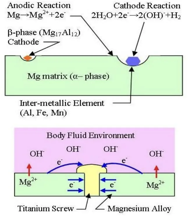 Fig:8,9 Galvanic Corrosion