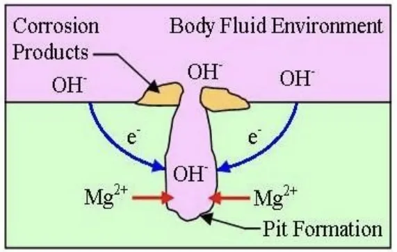 Fig:10Pitting morphology of extruded AM60 in 3.5%NaC1 aqueous solution