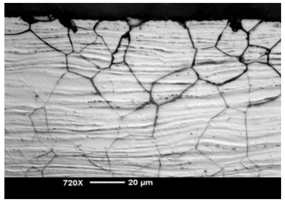 Fig:11Intergranular corrosion morphology of AZ80-T5 in 3.5%NaCI aqueous solution after 1 h.