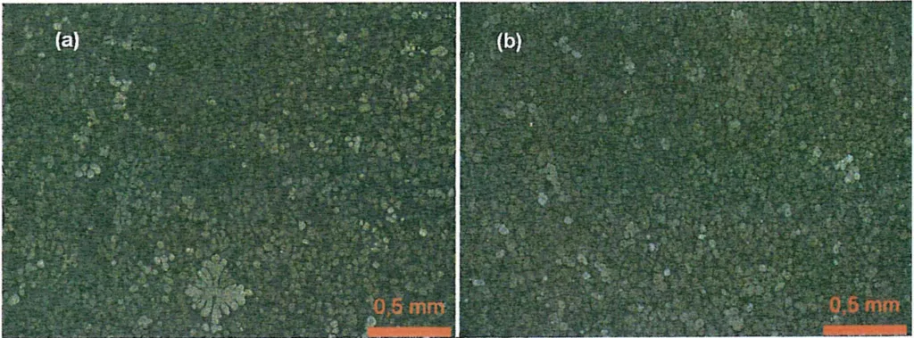 Figure 2: Microstructure of the brake calliper produced by gravity casting process (a) and by rheocasting process (b)