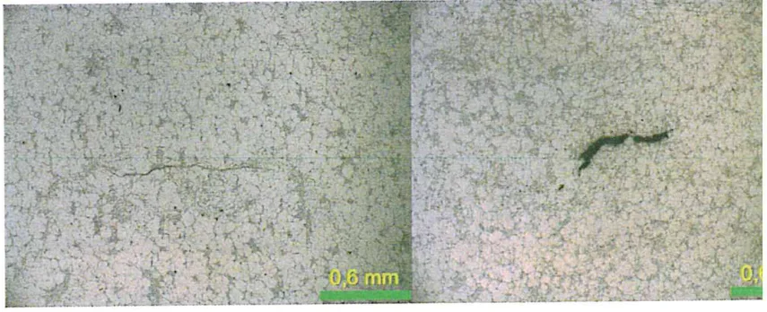 Figure 4: Microctructures of scraps showing the presence of some defects (bifilms)