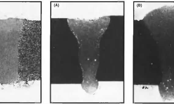 Fig. 1- Cross section of laser welded ZC 71, thickness 3 mm, 1.5 kW, 3 m/min (17X). Fig. 2- Cross section of laser welded WE 54 T6, thickness 5 mm (11X); A - without welding wire, 2 kW, 2 m/min; B - with 2.3-mm welding wire, 2 kW, 1.25 m/min.