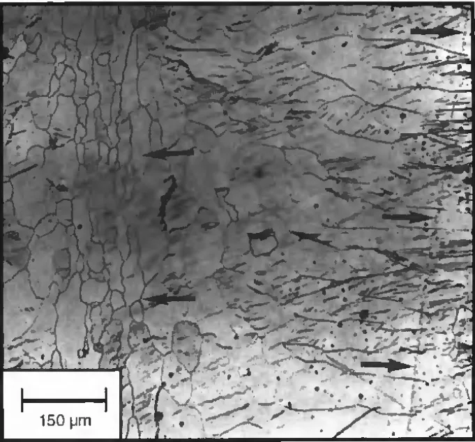 Fig. 4- Coarse grains in fusion zone and HAZ of AZ 31F, thickness 2.5 mm, laser power 1.5 kW, travel speed 2.5 m/min (100X). Right arrows indicate fusion boundary, left arrows indicate perpendicular grain growth direction in the center of the fusion zone.