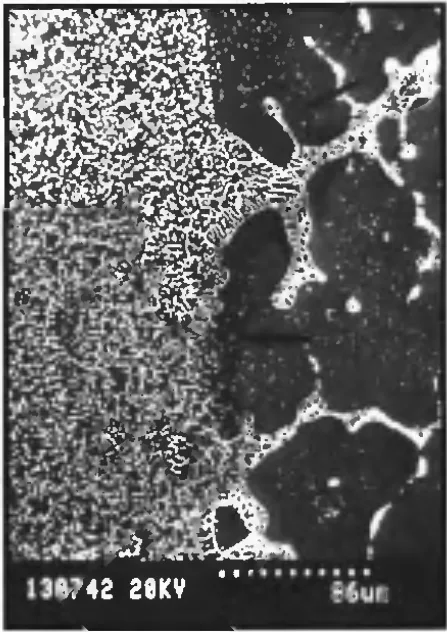 Fig. 5- Liquation of grain boundaries at fusion boundary in ZC 63 T6, 5 mm, 2 kW, 1.75 m/min (350 X). Note also the precipitation-free zone at fusion boundary and grain boundary liquation (marked by arrows).