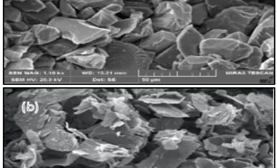 Fig. 1: SEM images of (a) SiC and (b) Graphite particles.