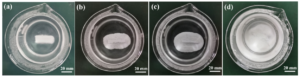 Figure 4. Water-soluble experiments of the KNO3-based salt core strengthened by 30 wt.% glass fiber (size = 25 lm) in 80 C water: (a) 0 min; (b) 6 min; (c) 12 min; (d) 18 min